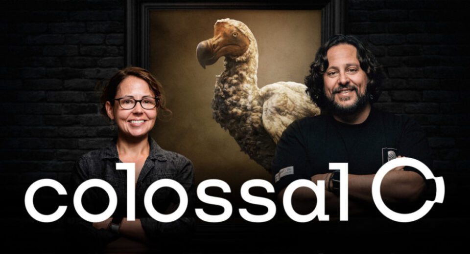 colossal biosciences plan to de extinct the iconic dodo 1024x5361 1 word2 Colossal Biosciences has raised $150 million in Series B funding