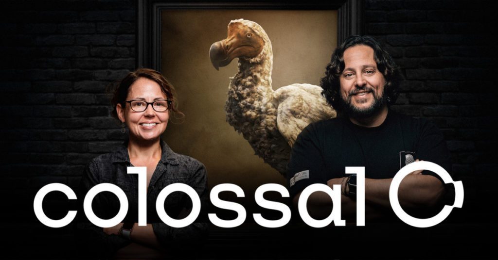 colossal biosciences plan to de extinct the iconic dodo 1024x5361 1 word1 Компания Colossal Biosciences привлекла $150 млн в рамках серии B