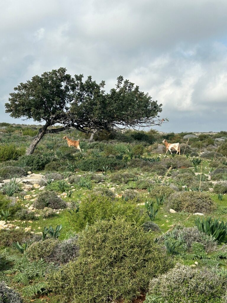 Photo: Cyprus Hikers