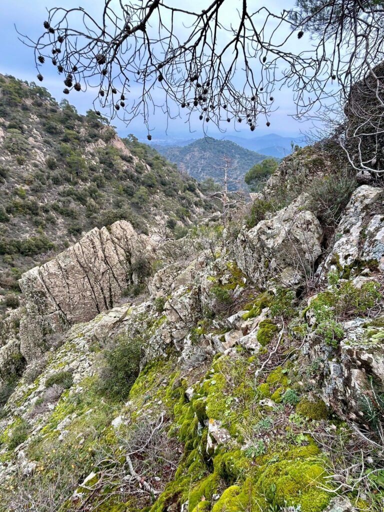 Photo: Cyprus Hikers