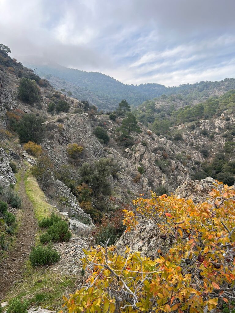 Photo: Cyprus Hikers