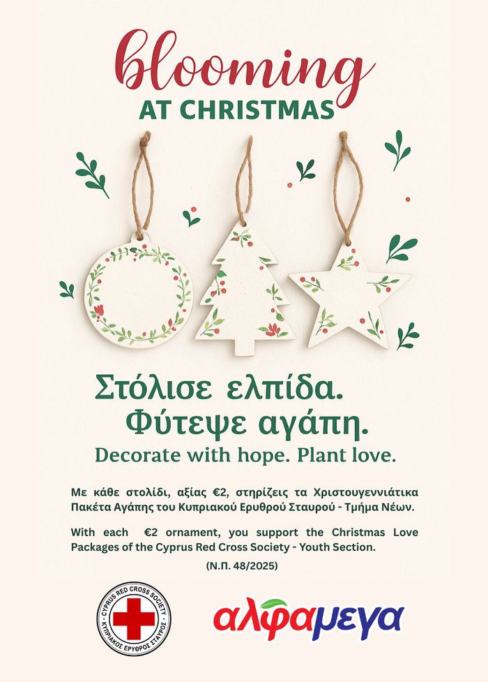 φωτό Blooming at Christmas Στολίδια που ανθίζουν για καλό σκοπό