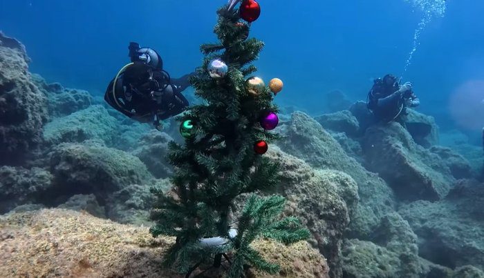 picture Christmas tree shines underwater in protaras