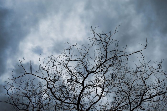 γραφικό OMΠΡΕΛΑ ΣΤΟ ΧΕΡΙ Μεμονωμένες βροχές στο μενού της ημέρας