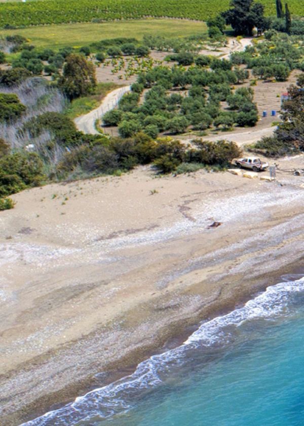Image of Walking the Nature Trail in Pissouri