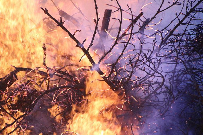 απεικόνιση ΠΥΡΚΑΓΙΕΣ ΙΟΥΛΙΟΥ Η ΕΕ δίνει 23 εκατ προκαταβολή στην Κύπρο