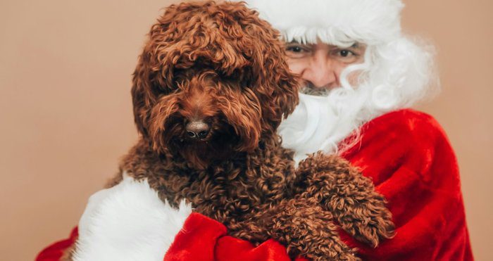 εικόνα Xmas Santa Paws στην Πλατεία Ελευθερίας
