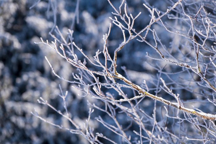 Snapshot of Weather: Weekend Brings Rain and Snow Across the Island