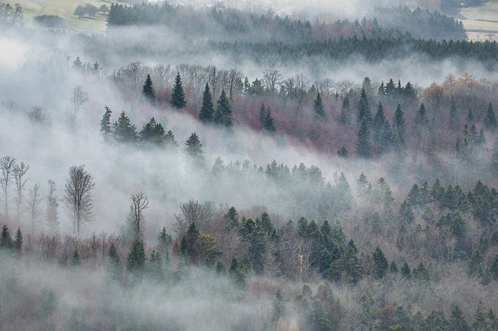 photo Frost Across Cyprus Tonight One of Coldest Nights Since
