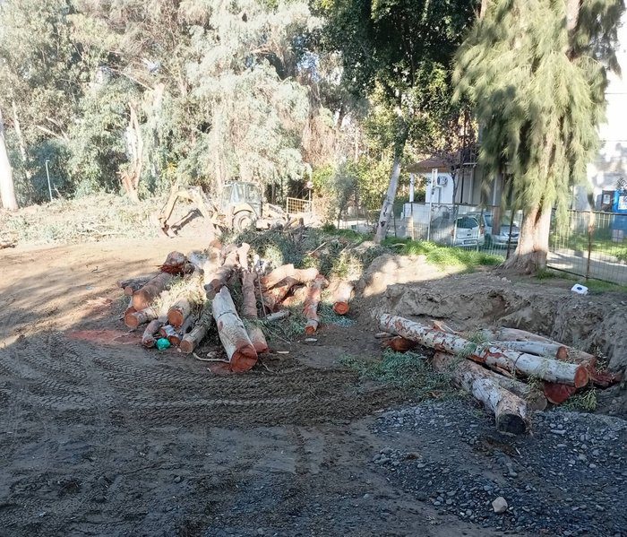 φωτό ΠΕΔΙΑΙΟΣ Θα κοπεί και το τελευταίο δέντρο για την ανάπτυξη των