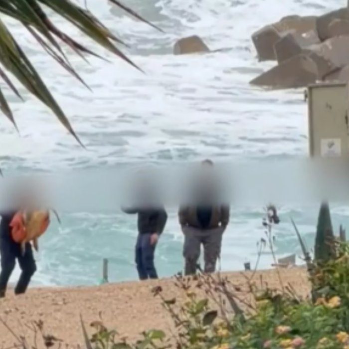 γραφικό Συνελήφθησαν οι υπάλληλοι που κλωτσούσαν και πετούσαν την θαλάσσια χελώνα