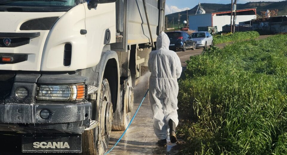 fmd vaccination cyprus 2026 word3 Cyprus launches massive FMD vaccination campaign across the island