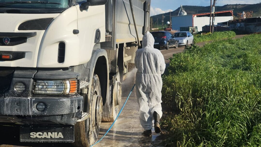 fmd vaccination cyprus 2026 word3 Cyprus launches massive FMD vaccination campaign across the island