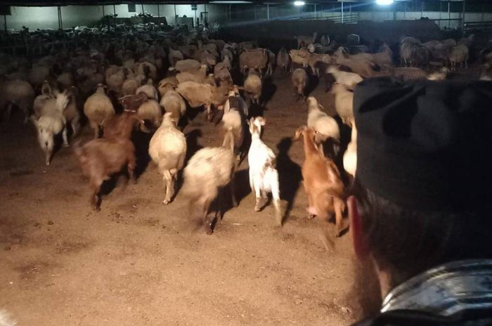οπτικό ΙΕΡΑ ΜΗΤΡΟΠΟΛΗ ΚΙΤΙΟΥ Αναληθή δημοσιεύματα για την επίσκεψη στην