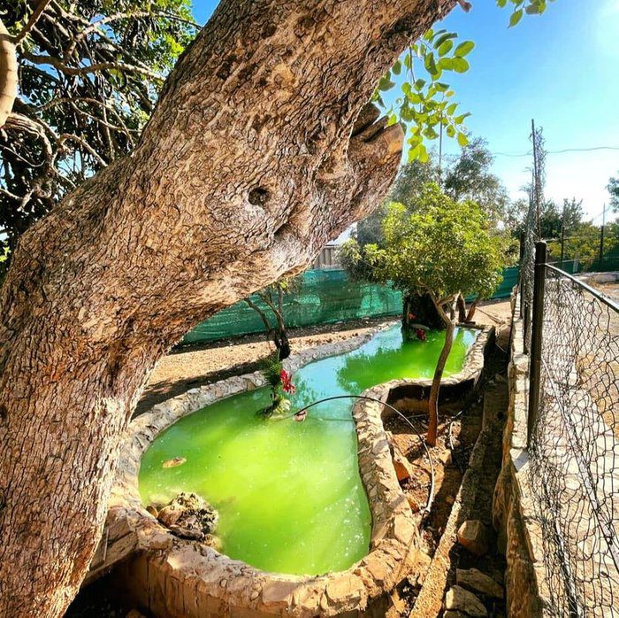 φωτογραφία Καθαρά Δευτέρα στο κτήμα Άγιος Ευστάθιος