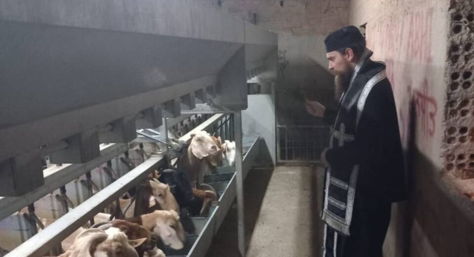 priests fmd farms word2 Old Calendarist priests enter farms amid FMD outbreak — Police investigation underway