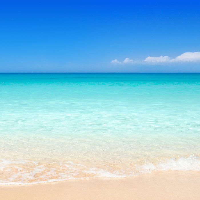 φωτογραφία Το Fig Tree Bay στον Πρωταρά ανάμεσα στις κορυφαίες παραλίες